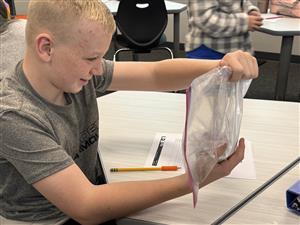 Student examining bag with apple that he is mummifying.